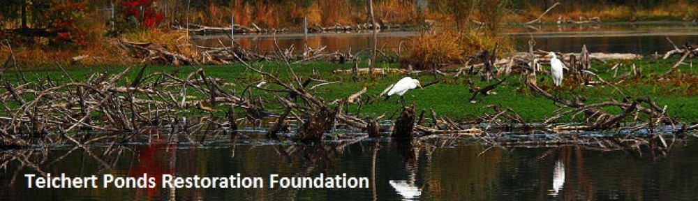 Teichert Ponds Restoration Foundation