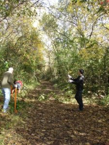 Before picture, showing dense trail surroundings dominated by invasive plants.